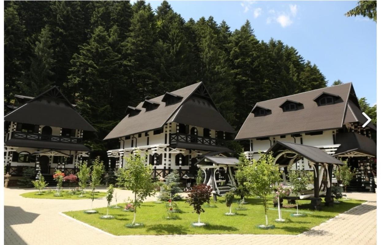 Complex Lions Bucovina Voronet Exterior foto